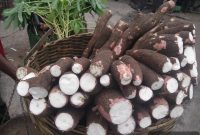 Cassava Flour: 5 Essential Facts for Cooking and Baking