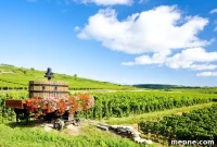 Join Me in Burgundy: Wine, Villages and Travel Tips