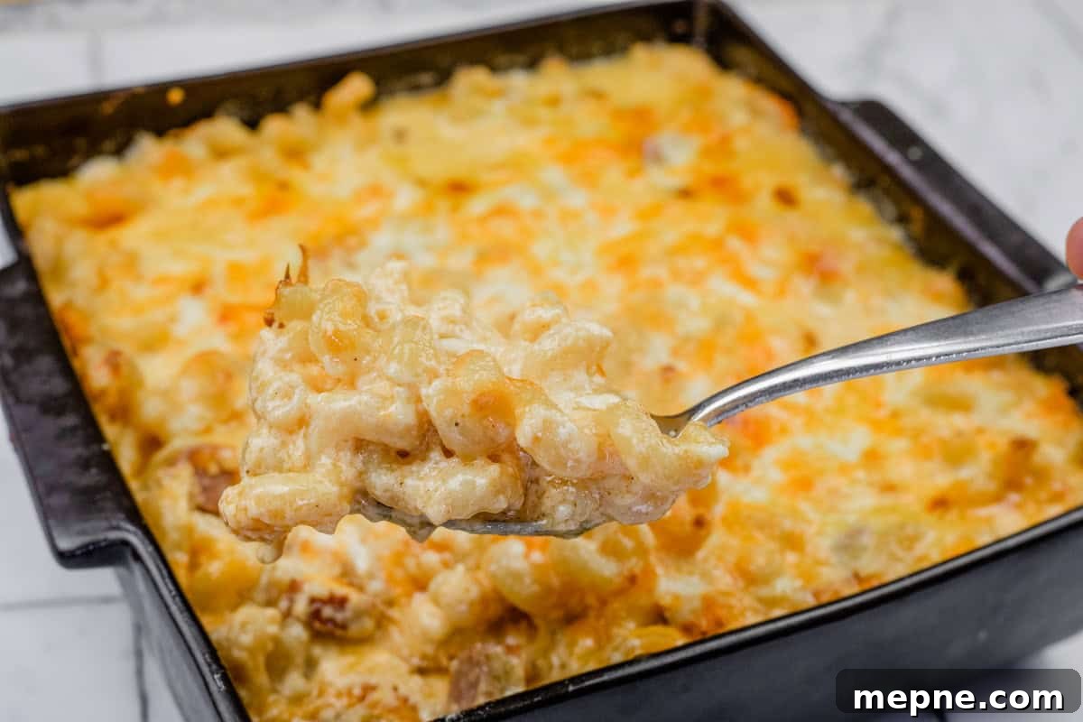 35 Classic Casserole Recipes That Have Everyone Coming Back 18 A spoonful of Tini’s Mac & Cheese with a Twist is held above a square baking dish filled with the same dish.