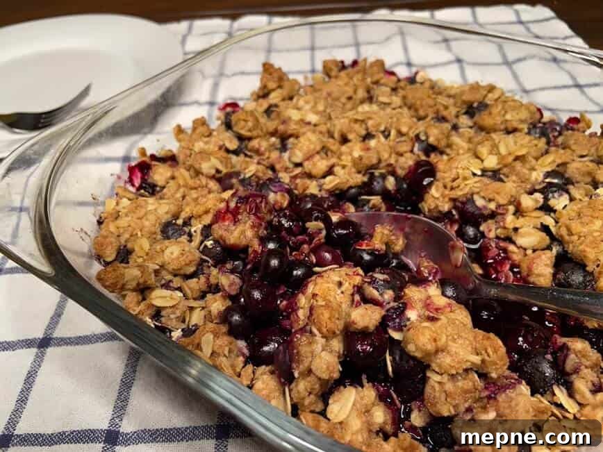 30-Minute Blueberry Crisp Recipe with Crunchy Oat Topping 2 Blueberry crisp.