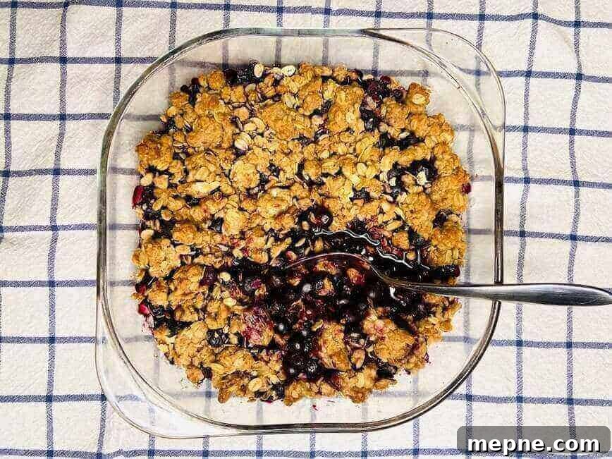 30-Minute Blueberry Crisp Recipe with Crunchy Oat Topping 4 Serving crisp out of pan with a spoon.