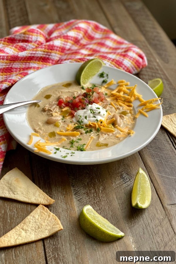 Instant Pot Chicken Enchilada Soup (Creamy) 5 bowl of chicken enchilada soup with homemade tortilla chips