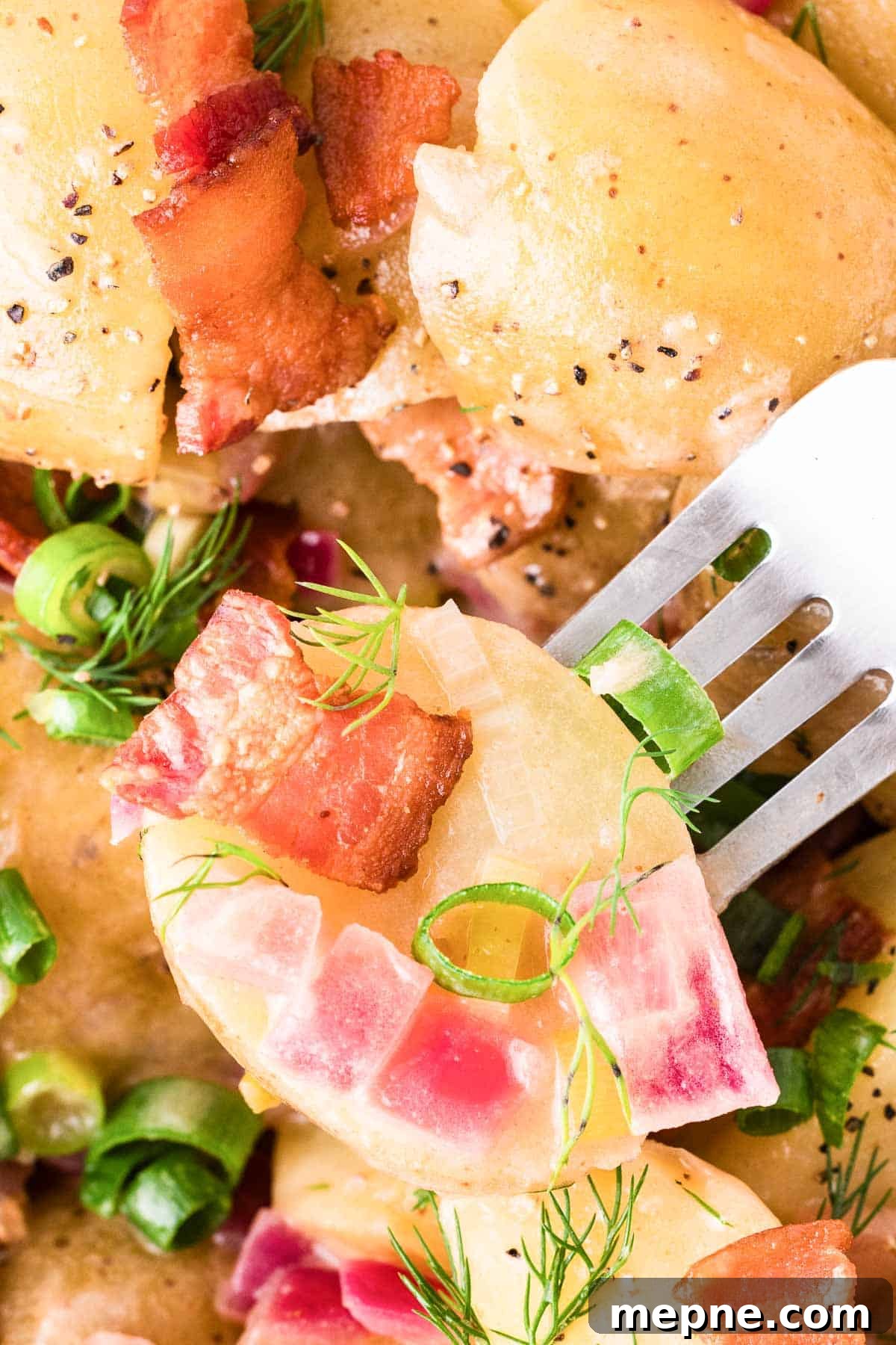 Authentic Bavarian Potato Salad with Bacon Recipe 17 Close-up of a fork holding a bite of boiled potatoes with diced bacon, green onions, and fresh dill in a creamy sauce.