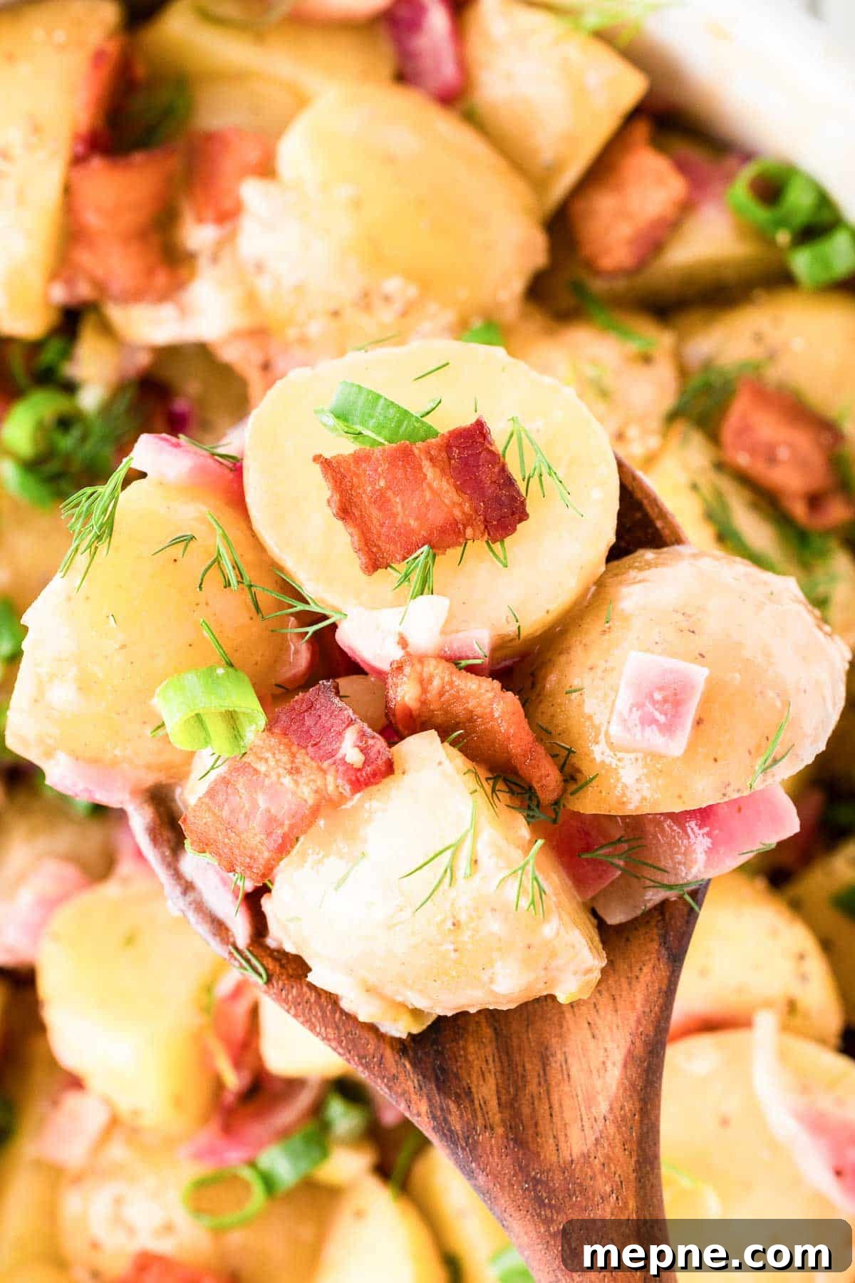 Authentic Bavarian Potato Salad with Bacon Recipe 18 A wooden spoon holding a serving of Bavarian potato salad with bacon pieces, chopped green onions, and fresh dill. The background shows more of the same potato salad.