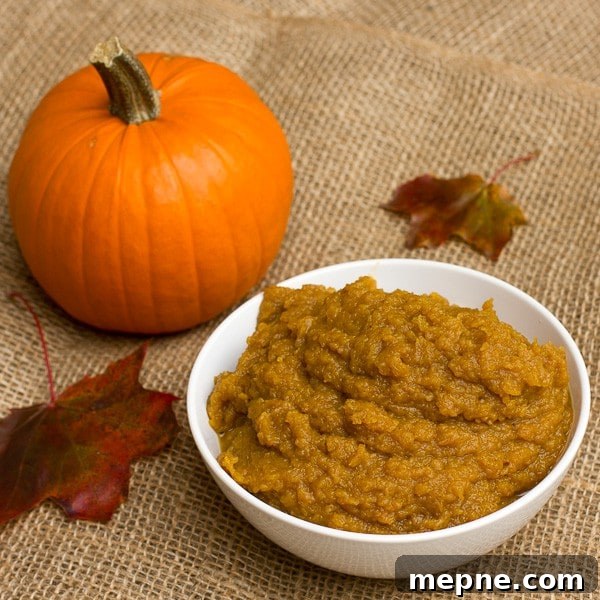Sous Vide Pumpkin with Cinnamon and Nutmeg 2 Sous Vide Spiced Pumpkin
