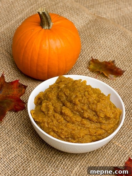 Sous Vide Pumpkin with Cinnamon and Nutmeg 6 Sous Vide Spiced Pumpkin-4