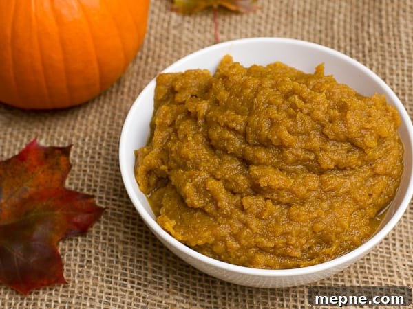 Sous Vide Pumpkin with Cinnamon and Nutmeg 8 Sous Vide Spiced Pumpkin-3