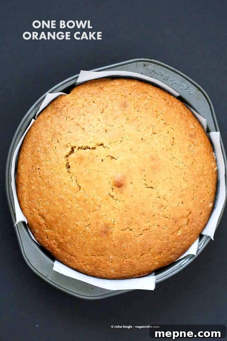 Vegan Orange Cake made in 1 Bowl and just 8 ingredients! Easy Moist Citrusy Vegan Cake. Soyfree Palm-Oil-free Recipe| VeganRicha.com