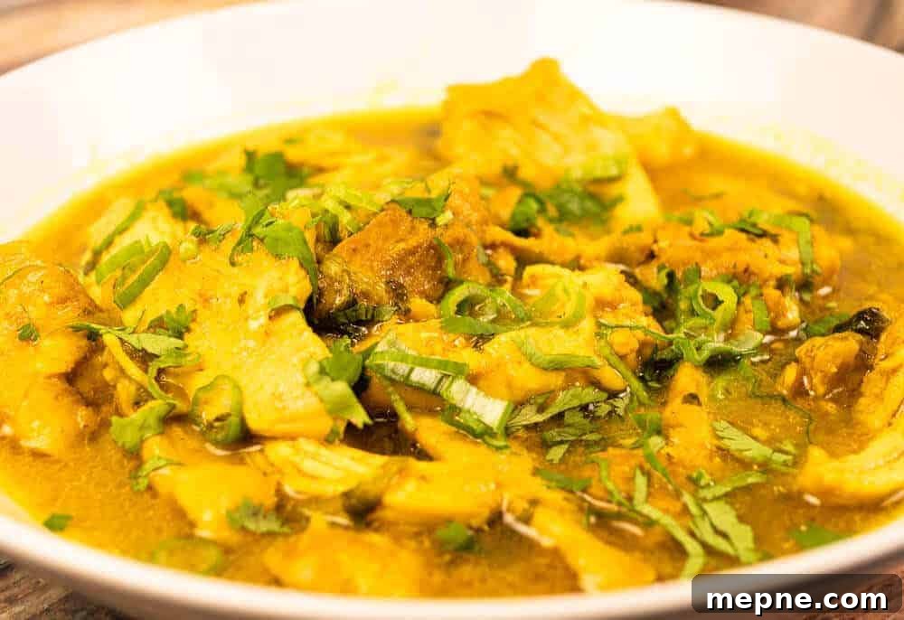 Instant Pot Chicken Curry Thighs 3 Instant Pot Chicken Curry Closeup