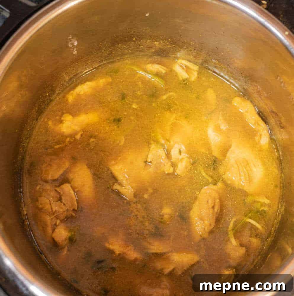 Instant Pot Chicken Curry Thighs 6 Chicken Curry done cooking in the Instant Pot.