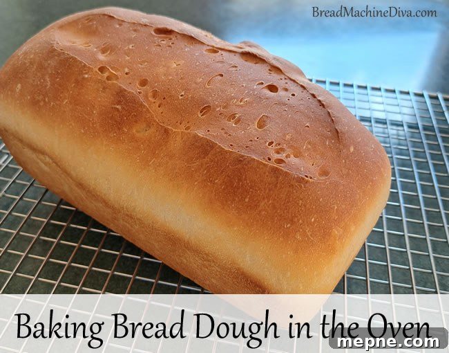 How to Bake Bread Dough in the Oven for Perfect Loaves 2 How to make Bread Dough in the Oven