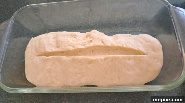 How to Bake Bread Dough in the Oven for Perfect Loaves 5 Dough in Pan