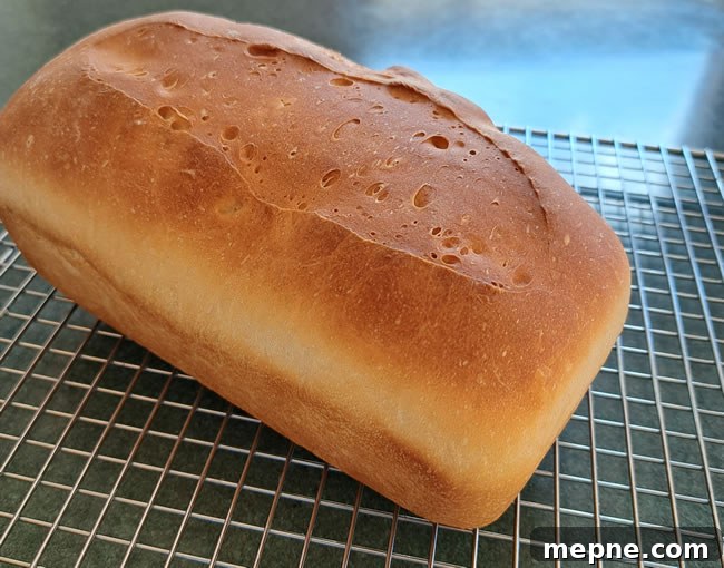 How to Bake Bread Dough in the Oven for Perfect Loaves 6 Bread baked in pan