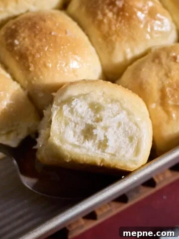A side view of a Sourdough Discard Roll in the baking pan.