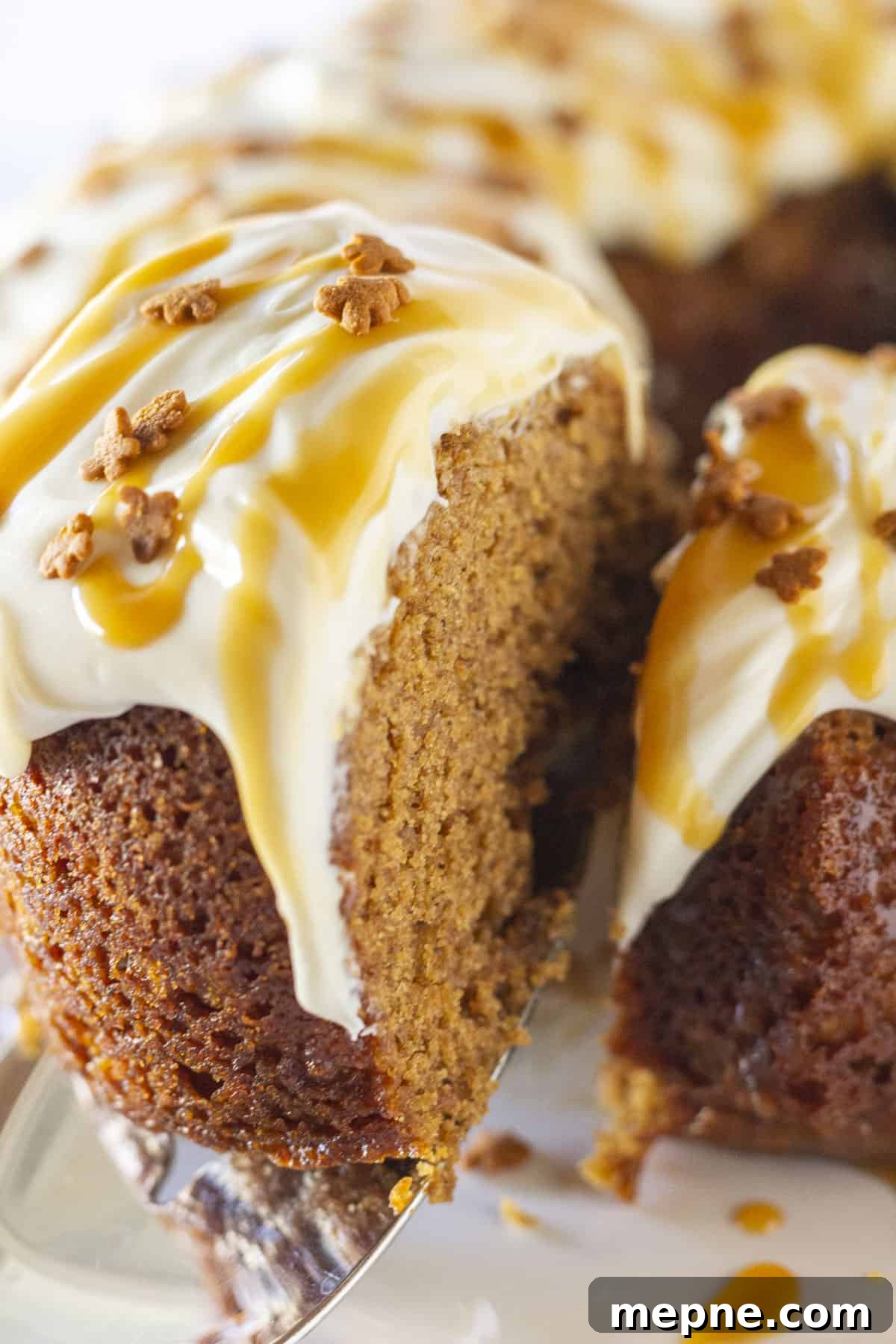 Serving a slice Gingerbread Bundt Cake Recipe.