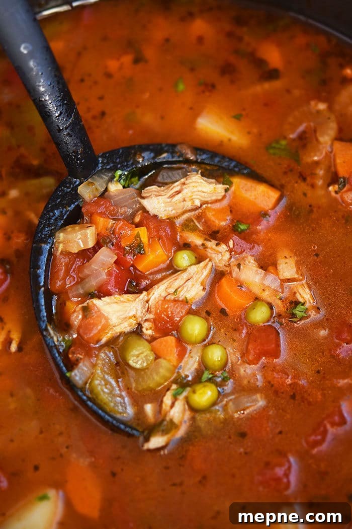 Pot of Soup With Black Ladle.