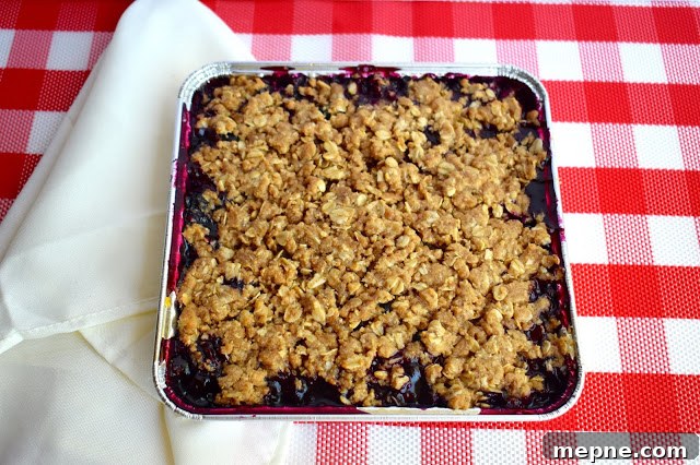 Homestyle Blueberry Crisp with Oat Topping 2 img 1376 1