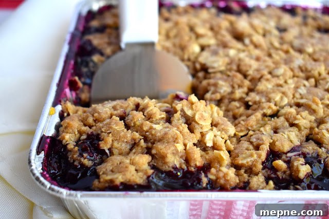Homestyle Blueberry Crisp with Oat Topping 3 img 1376 2