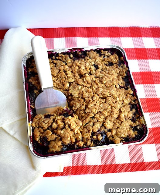 Homestyle Blueberry Crisp with Oat Topping 4 img 1376 3