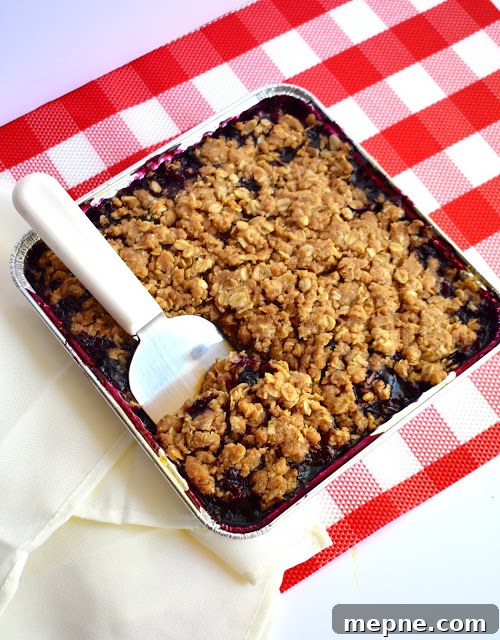 Homestyle Blueberry Crisp with Oat Topping 5 img 1376 4
