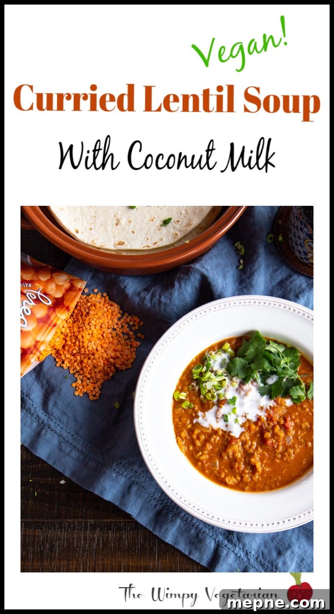Flavorful Instant Pot Curried Lentil Soup Recipe 4 Curried Lentil Soup made in the Instant Pot in 30 minutes!