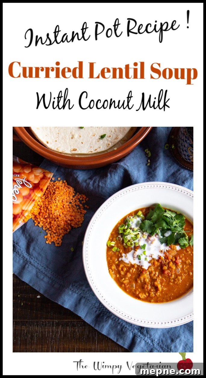 Flavorful Instant Pot Curried Lentil Soup Recipe 5 Curried Lentil Soup made in the Instant Pot in 30 minutes!
