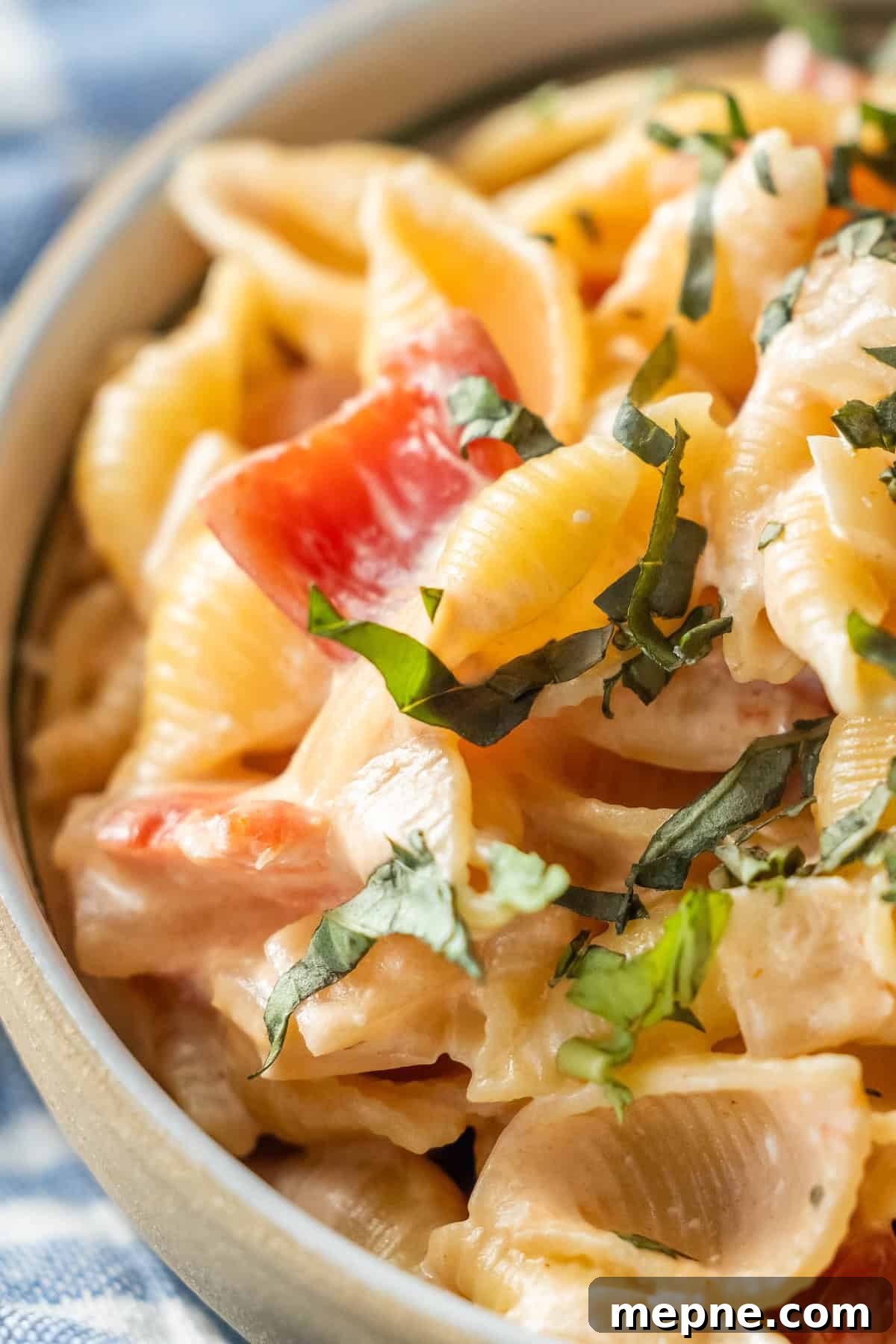 Creamy Tomato Orecchiette Pasta 3 Close-up of creamy pasta shells mixed with diced tomatoes and fresh herbs in a bowl.