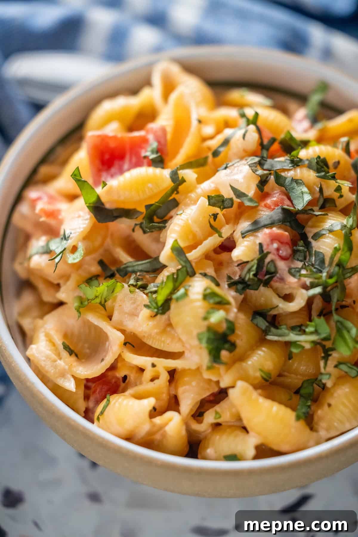 Creamy Tomato Orecchiette Pasta 4 A bowl of short pasta tossed in creamy tomato sauce and topped with chopped fresh basil.