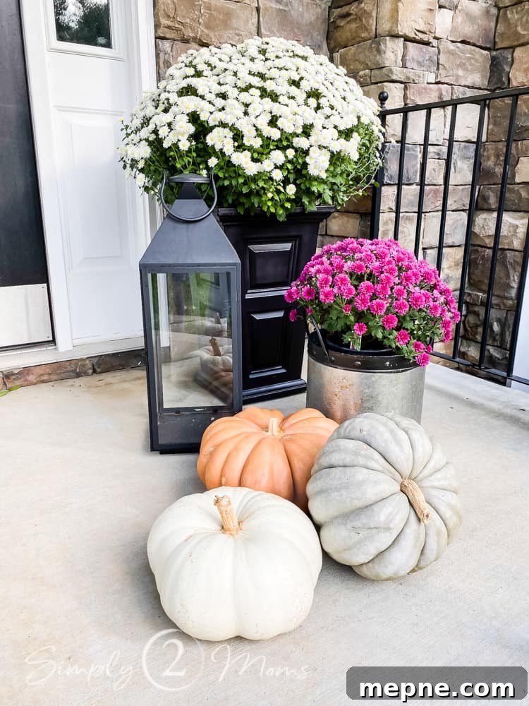 Stone house with front porch with iron railing. Porch has large black planter with raised panels filled with white mums. Large iron lantern sits slightly in front and to the side. Galvanized bucket with smaller purple mums next to lantern. 3 Heirloom pumpkins in front of the flowers.