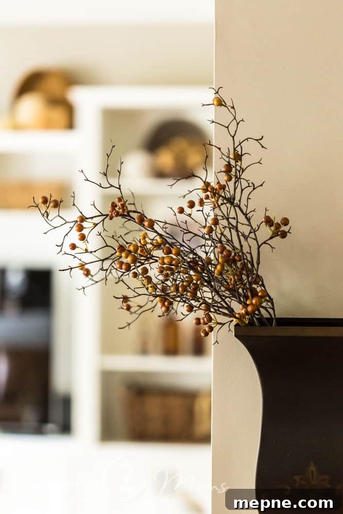 Wall sconce on wall column holding fall berries with built in shelves in the background