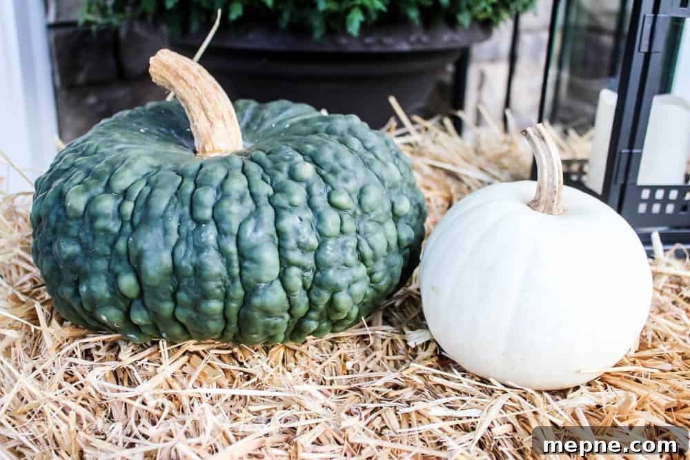 close up of two heirloom pumpkins on a hay bale with a lantern in the background. One pumpkin is a large green one with lots of bumps, the other is a smaller white pumpkin. Both pumpkins have curved stems.