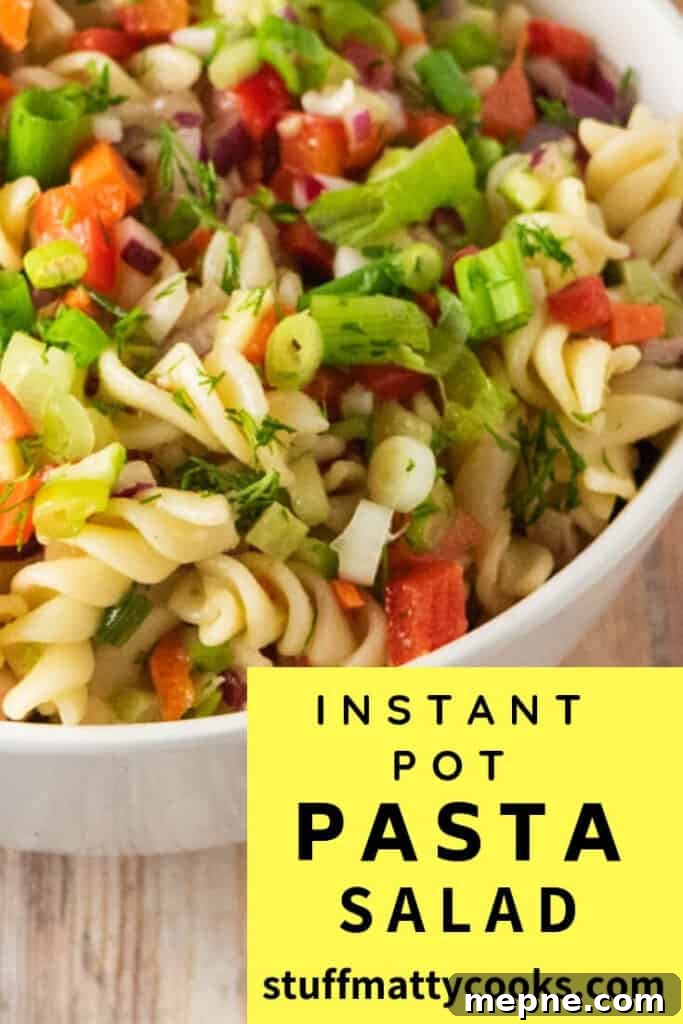 Instant Pot Vegetarian Pasta Salad with Creamy Dressing 4 instant pot vegetarian pasta salad