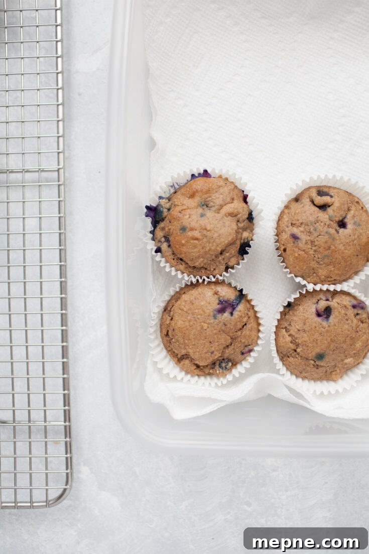 muffins in a tupperware on paper towels next to a cooling rack, which is one way how to Store and Freeze Muffins