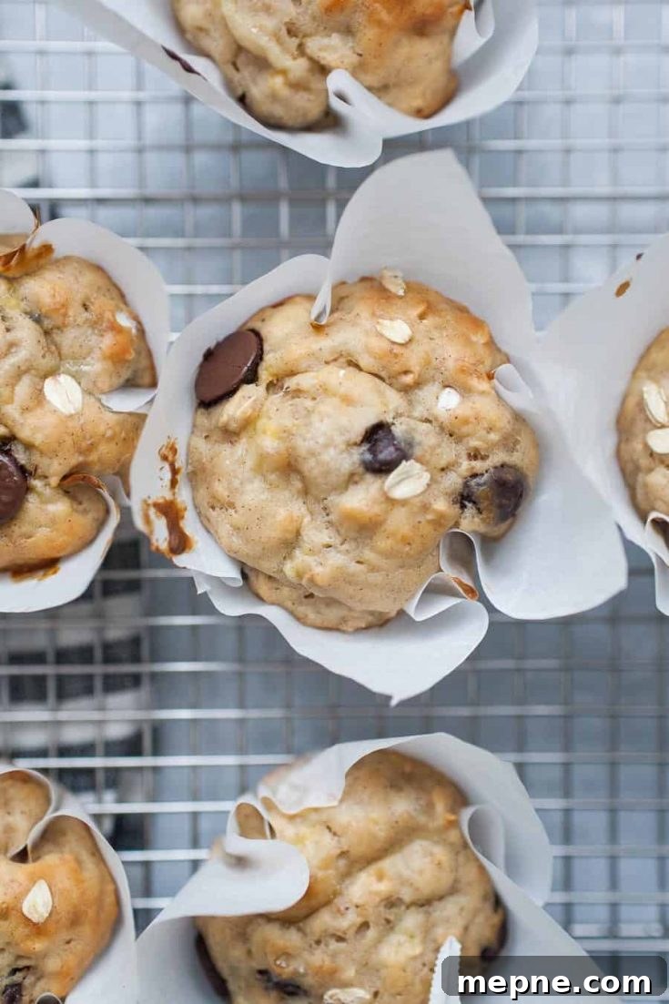 Healthy banana chocolate chip yogurt muffins in white paper muffin cups on  a silver wire cooling rack 