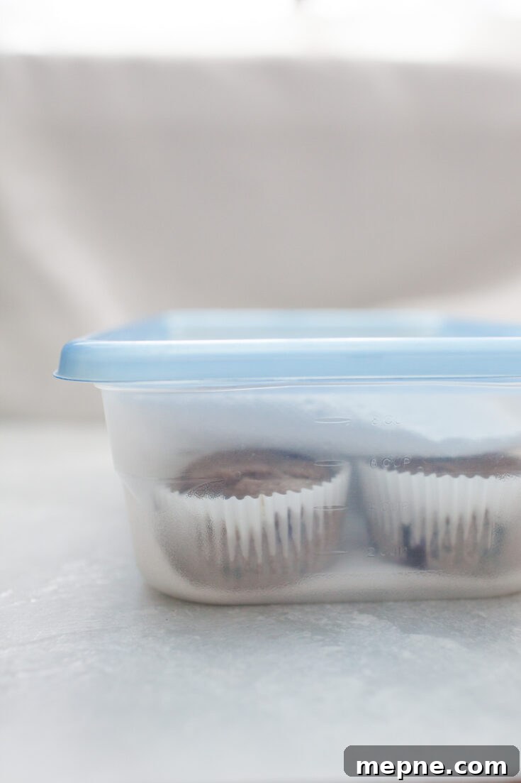 muffins in a sealed tupperware with paper towels that are ready to be stored -- learn how to Store and Freeze Muffins