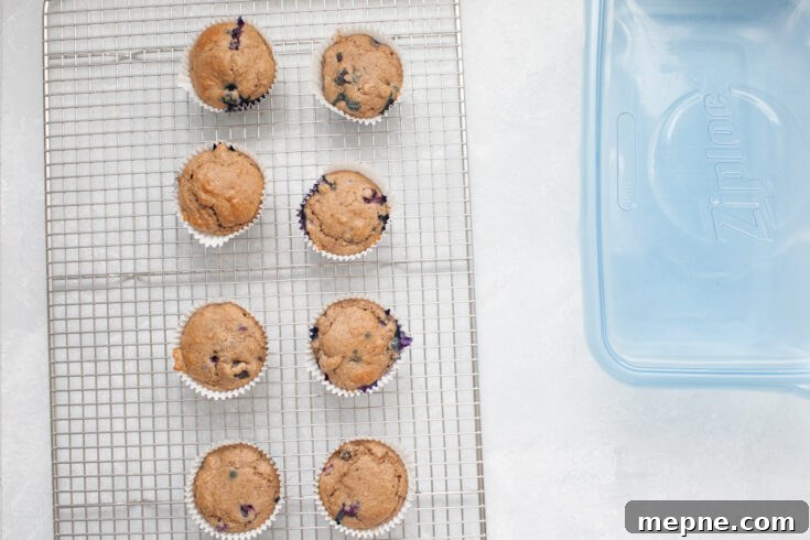 blueberry muffins on a cooling rack next to a tupperware