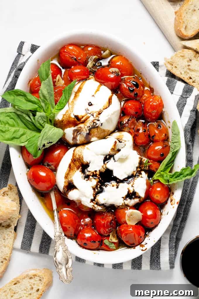 Overhead shot of a white platter filled with roasted tomatoes and burrata garnished with fresh basil