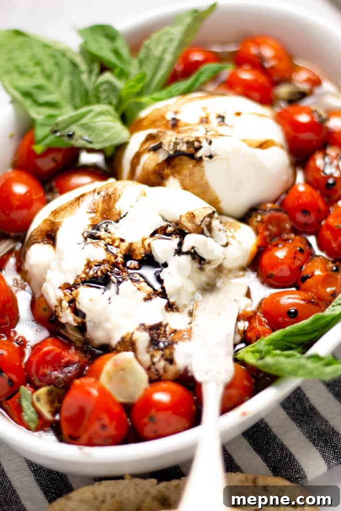 Close up shot of a white platter filled with roasted tomatoes and burrata garnished with fresh basil