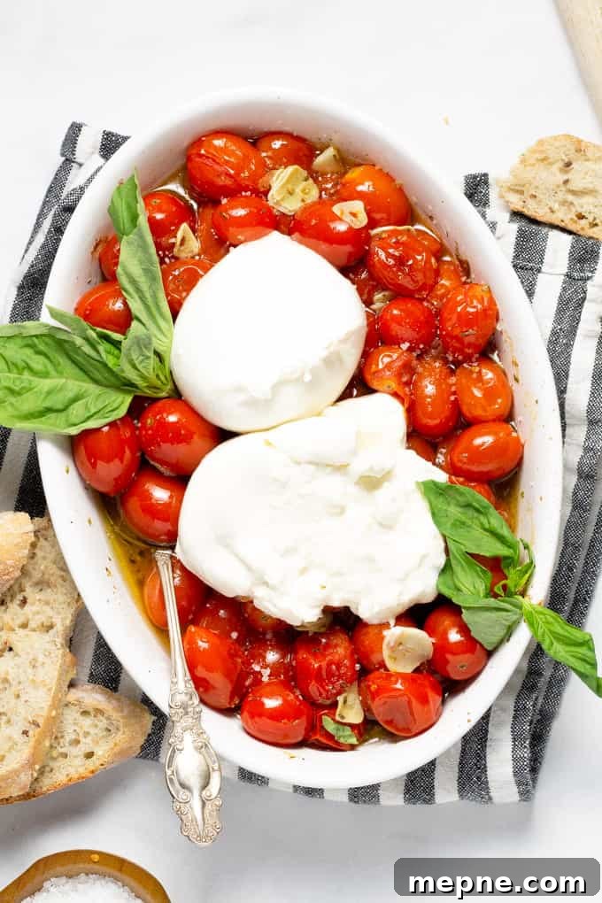 Overhead shot of a white platter filled with roasted tomatoes and burrata garnished with fresh basil