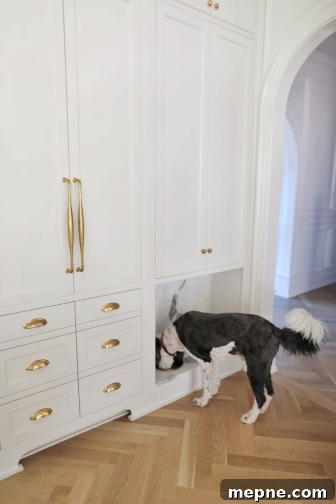 Kitchen Remodel Reveal: Before and After Transformation 12 dog eating from built in dog bowls in a kitchen