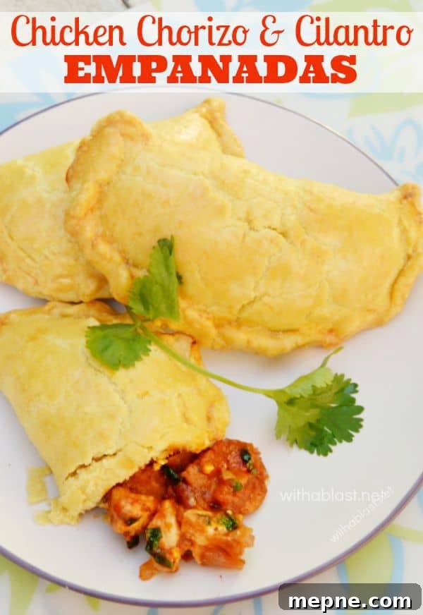 Hot or not - you gotta love these spicy Chicken Chorizo & Cilantro Empanadas - perfect for tailgating, home snacks or for entertaining Hot or not - you gotta love these spicy Chicken Chorizo and Cilantro Empanadas - perfect for tailgating, home snacks or for entertaining