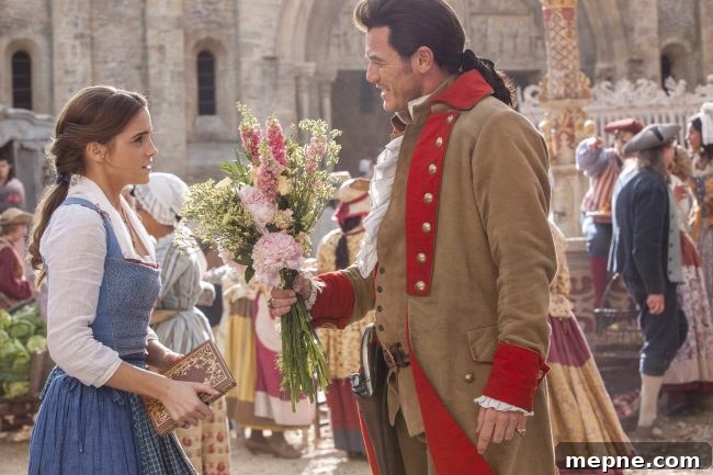 Beauty and the Beast 2017 Live Action Movie Review 3 img 17617 2