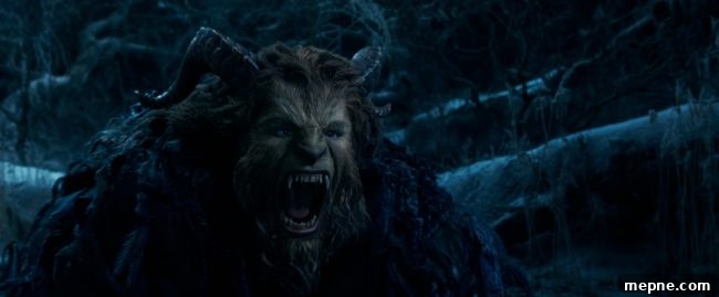 Beauty and the Beast 2017 Live Action Movie Review 5 img 17617 4