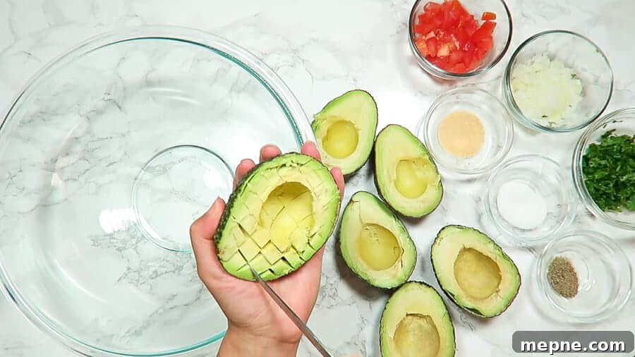 guacamole closeup