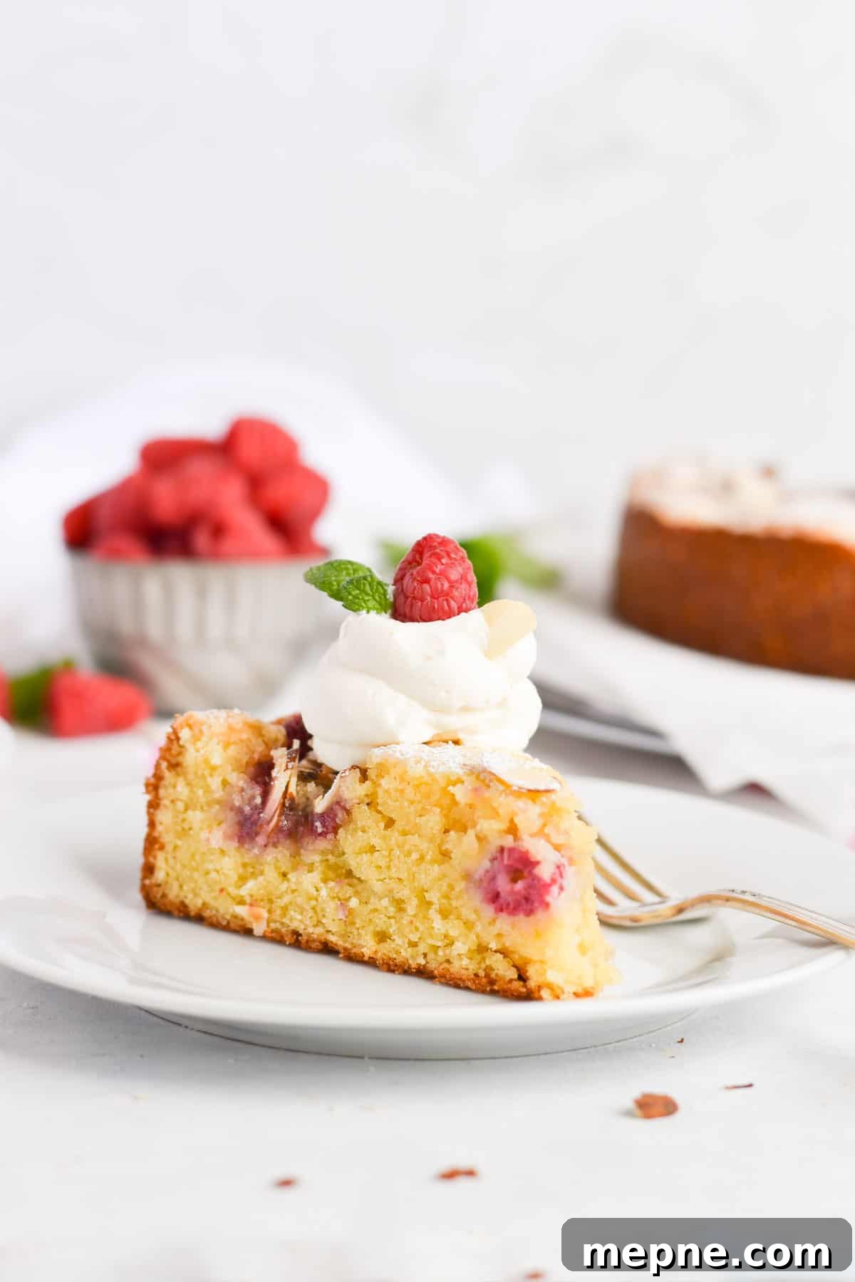 slice of cake with whipped cream and raspberry on top. 