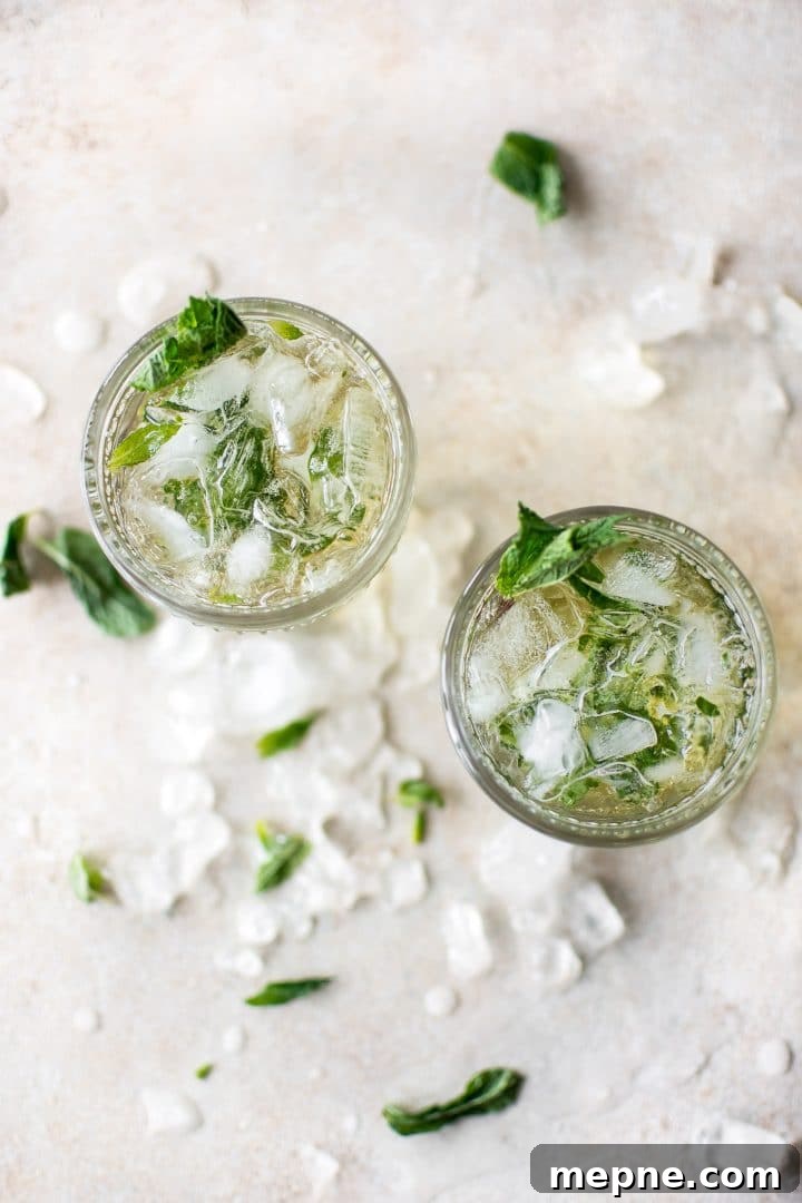 Classic Mint Julep Cocktail Recipe 4 two mint julep cocktails