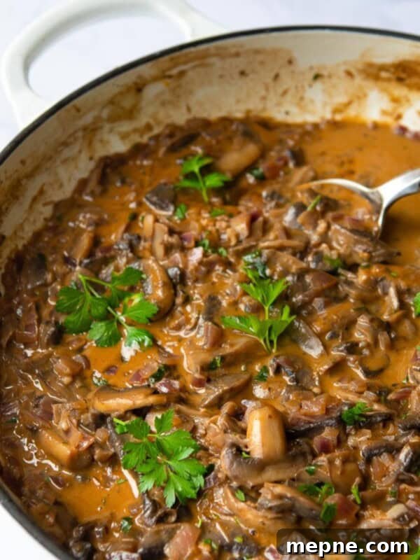 Vegan Mushroom Stroganoff served in a large non-stick frying pan with silver spoon. Pan is displayed on white background.