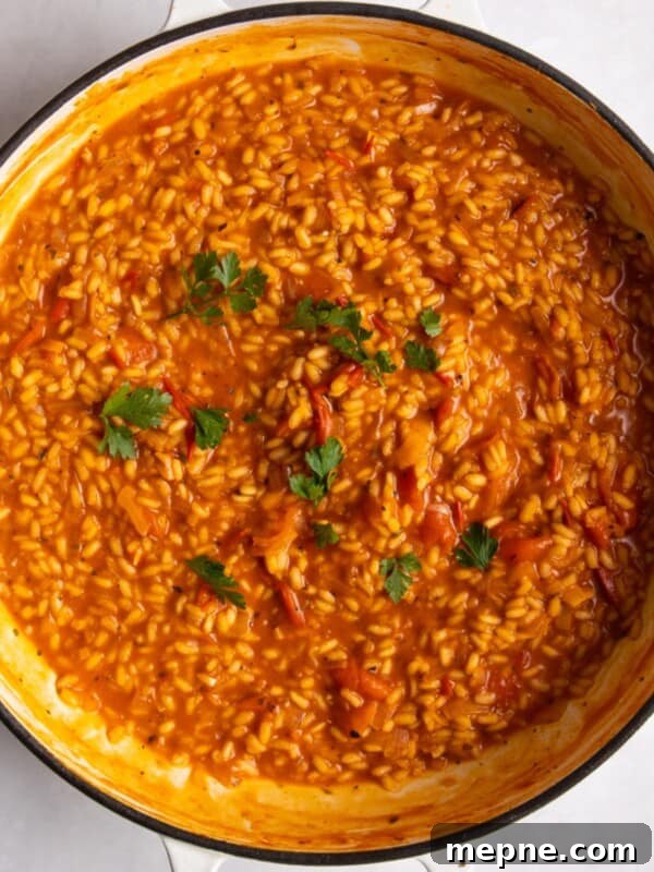 overhead shot of tomato risotto in large shallow frying pan on white surface.