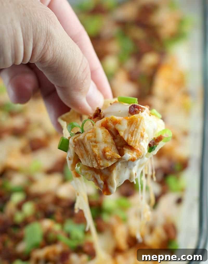 Cheesy Buffalo Chicken Dip with Bacon 5 Close in view of a hand holding a scoop tortilla chip to show the juicy chicken with buffalo sauce