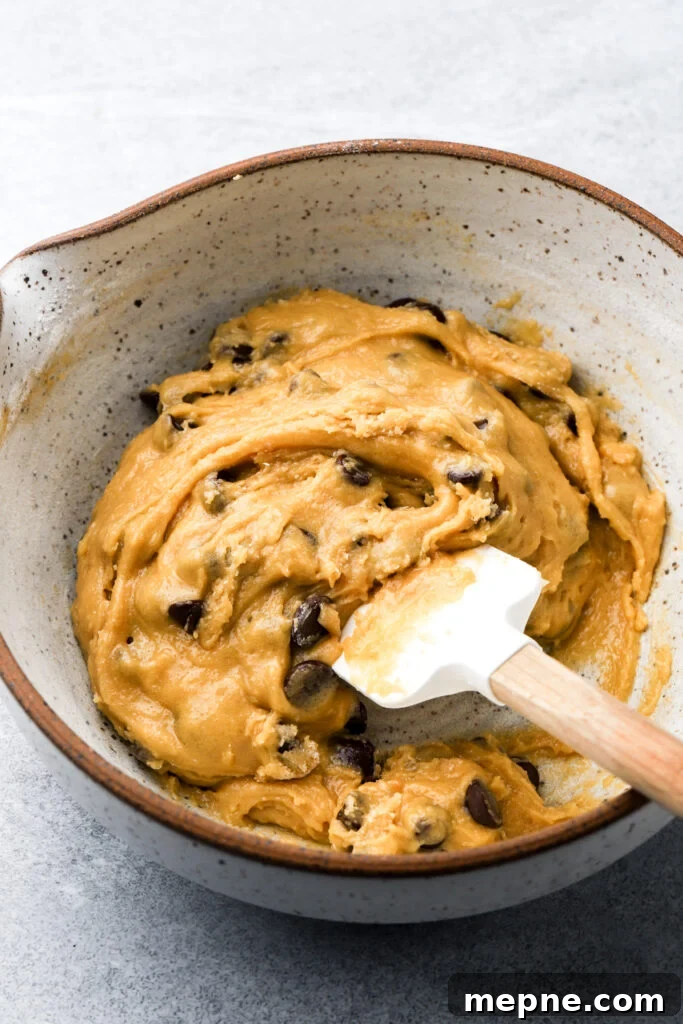chocolate chips added to the cookie dough